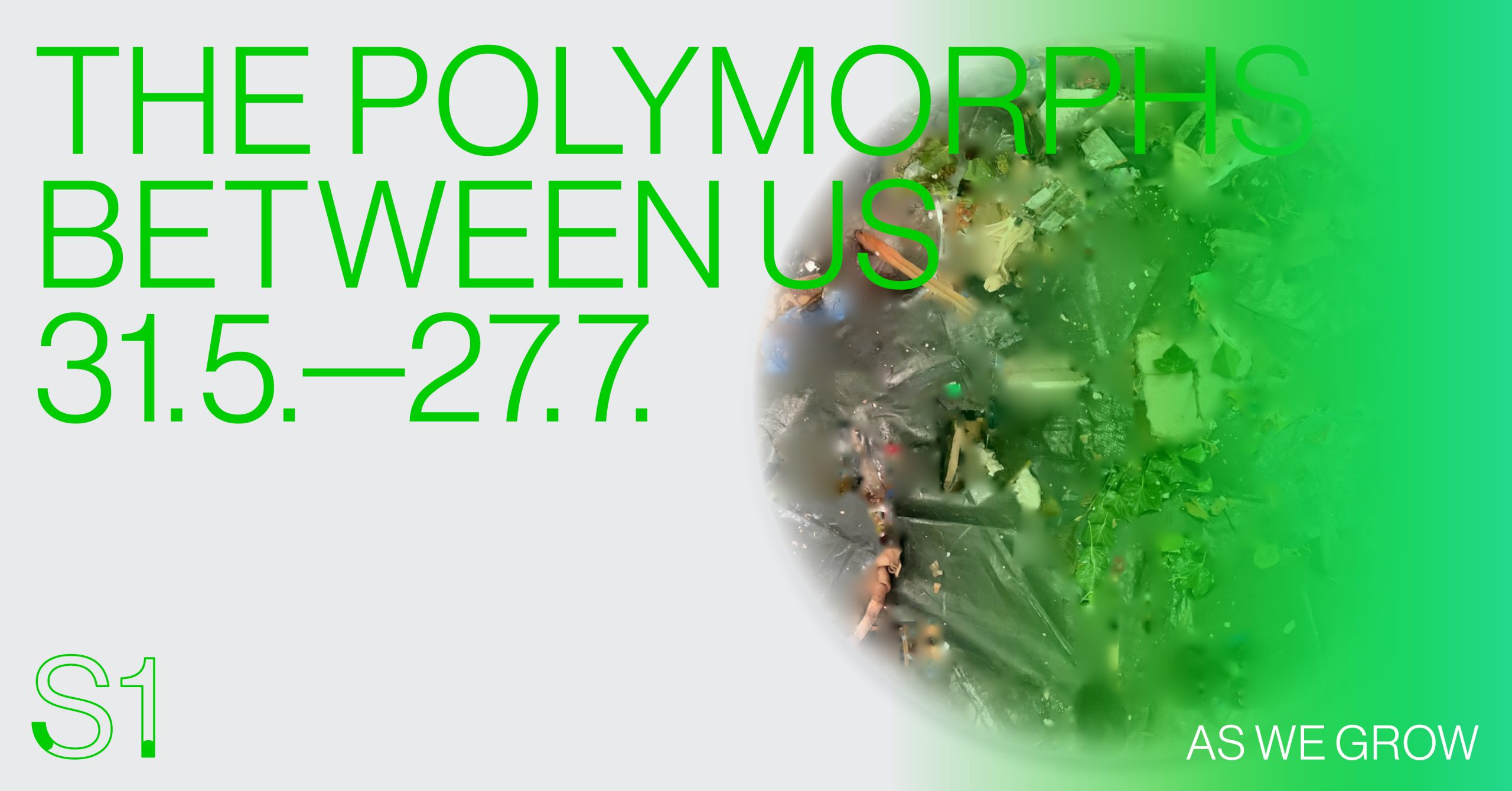 The Polymorphs Between Us